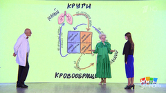 Пора сдавать. Жить здорово! Фрагмент 