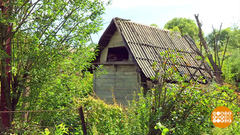 Заброшенный участок — это какой? Доброе утро. Фрагмент