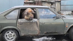 Видели видео? Анонс