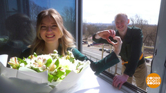 Как поздравить маму? Есть идея! Доброе утро. Суббота. Фрагмент 