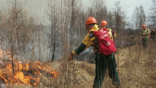 Природные пожары тушат в семи российских регионах на площади почти 670 тысяч гектаров