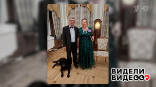 Неразлучные друзья. Видели видео? Фрагмент 