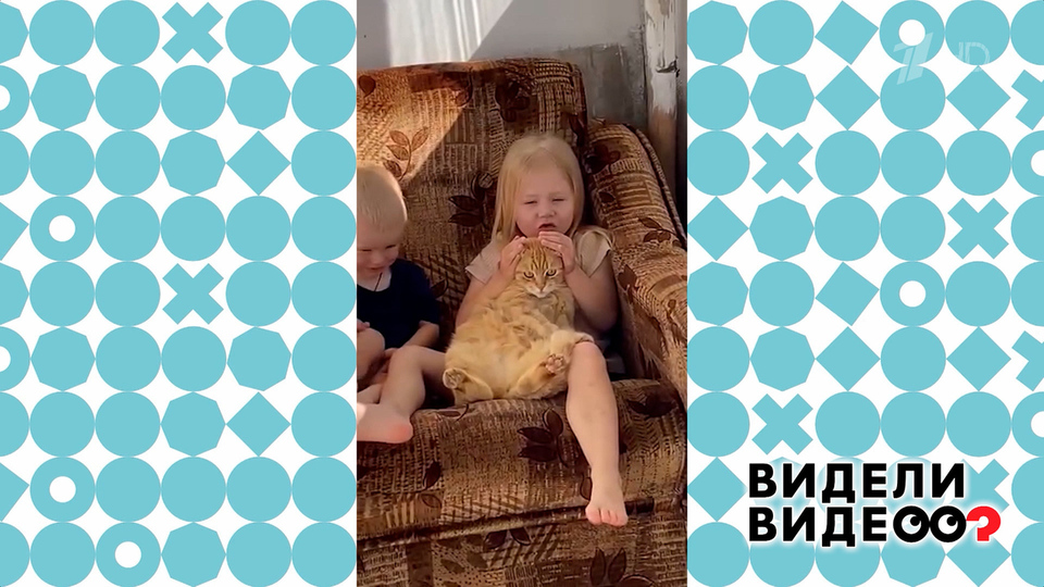 Кот Персик. Видели видео? Фрагмент выпуска от 18.05.2025