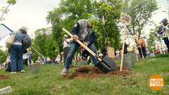 Здесь будет — «Черешневый лес»! Доброе утро. Фрагмент 