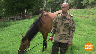 О хорошем отношении к лошадям… И не только. Доброе утро. Фрагмент 