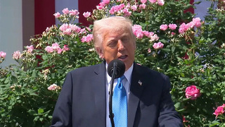 Итоги телефонных переговоров Владимира Путина и Дональда Трампа ошеломили европейских союзников Украины