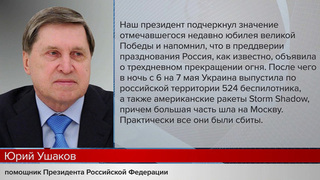 Владимир Путин рассказал Дональду Трампу об атаках Украины на Россию перед Днем Победы
