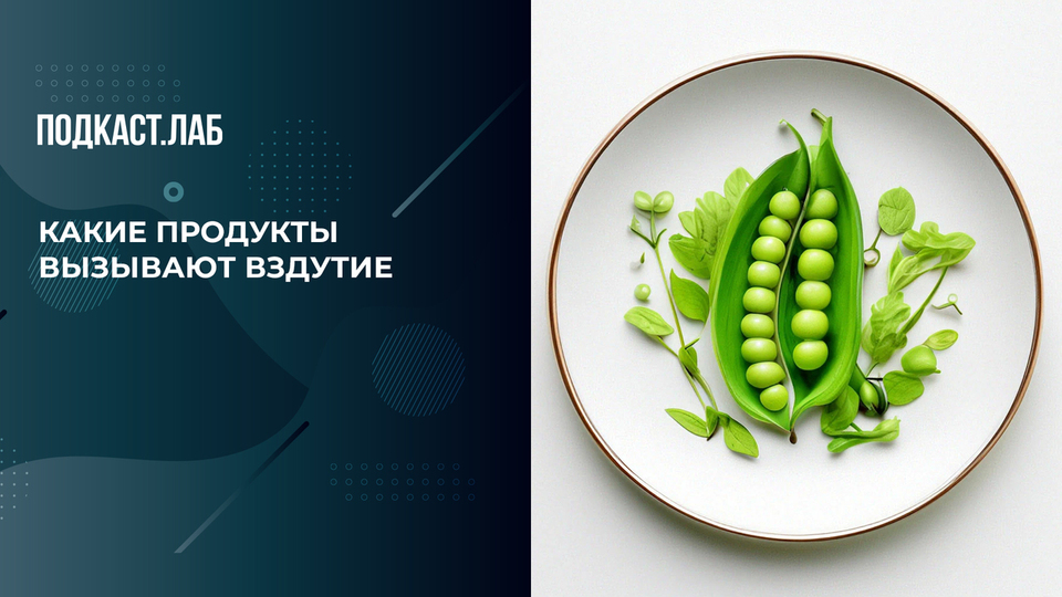 «Черный хлеб — это куча газов»: какие продукты вызывают вздутие. Обман веществ. Фрагмент выпуска от 20.05.2025