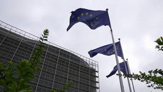 Европейские чиновники 27 мая обсудят лишение Венгрии права голоса