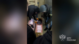 Более 15 кг кокаина в розах: как колумбиец пытался провезти наркотики из Эквадора