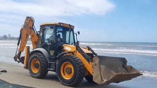 Более 500 километров береговой линии очищено после крушения танкеров в Керченском проливе