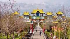 Элиста. Повара на колесах. Анонс