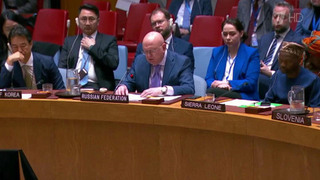 Василий Небензя указал на неполную информацию в докладе Генерального секретаря ООН