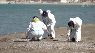 Роспотребнадзор ведет мониторинг качества воды и воздуха в районе Керченского пролива