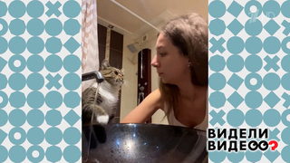 Кошка Маша. Видели видео? Фрагмент 