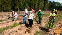 «Удивительный лес» меняет жизнь к лучшему! Доброе утро. Фрагмент 
