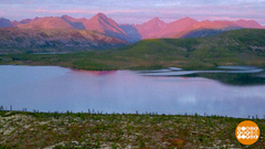 Наши пляжи: от Камчатки до Крыма. Доброе утро. Фрагмент 