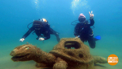 Ныряем в приключения! Доброе утро. Фрагмент 