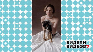 Дворняги-фотомодели. Видели видео? Фрагмент 