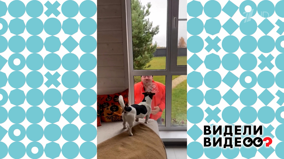 Любовь и 18 лет брака. Видели видео? Фрагмент выпуска от 01.06.2025