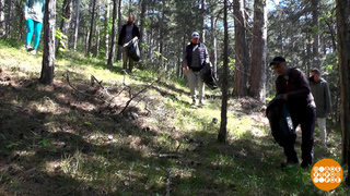 Волонтерство – лучший отдых. Доброе утро. Фрагмент 