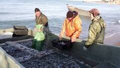 Радиоактивная рыба и украинская кавалерия. АнтиФейк. Анонс