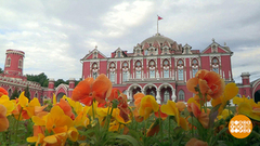 Россыпи бриллиантов в Петровском Путевом дворце. Доброе утро. Фрагмент 