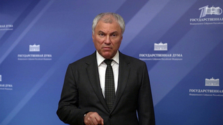 Спикер Госдумы направил в Бундестаг ФРГ письмо из-за высказываний немецкого канцлера