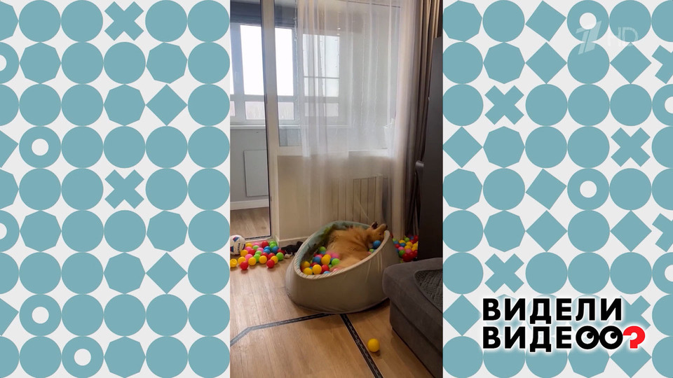 Бассейн не по размеру. Видели видео? Фрагмент выпуска от 08.06.2025