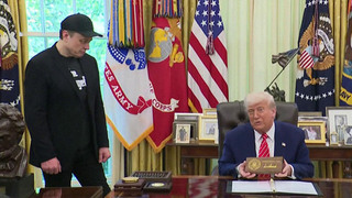 Разлад Дональда Трампа и Илона Маска обсуждают по обе стороны океана