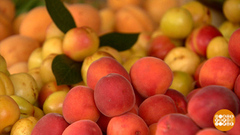 Абрикосы: на цвет и вкус… Доброе утро. Фрагмент 