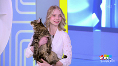 Кошки  и здоровье. Жить здорово! Фрагмент 