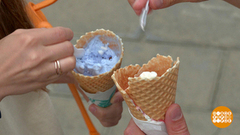 Мороженого много не бывает! Доброе утро. Фрагмент 