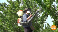 Летняя подработка: договор дороже денег. Доброе утро. Фрагмент 