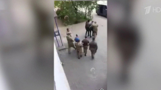 Мобилизация по-украински, когда за мужей и детей стеной становятся женщины