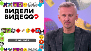 Кошачий акушер; меткий удар; уникальный педагог. Видели видео? 
