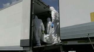 Россия передала сегодня украинской стороне еще 1248 тел офицеров и солдат ВСУ
