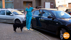 Собака, не мешай рулить! Доброе утро. Фрагмент 