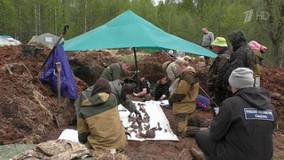 Стали известны организации, победившие в конкурсе на получение президентских грантов