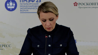 МИД: делегация РФ готова прибыть в Стамбул на переговоры с Киевом после 22 июня