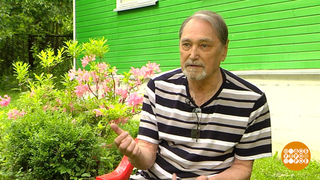 Владимир Коренев. Наш фантастический Ихтиандр. Доброе утро. Фрагмент 