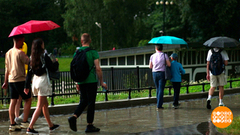 Эти летние дожди, эти радуги и тучи... И все на пользу! Доброе утро. Фрагмент 