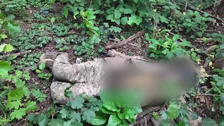 В Киеве не хотят забирать с поля боя павших солдат