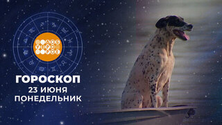 Гороскоп на 23 июня. Доброе утро. Фрагмент 