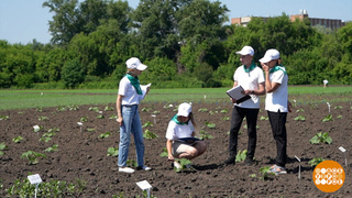 Наша чиа морозов не боится! Доброе утро. Фрагмент 