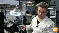 Отличник? Поступай в колледж! Доброе утро. Фрагмент 