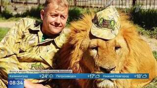 На основателя сафари-парка «Тайган» Олега Зубкова напал лев, он в реанимации