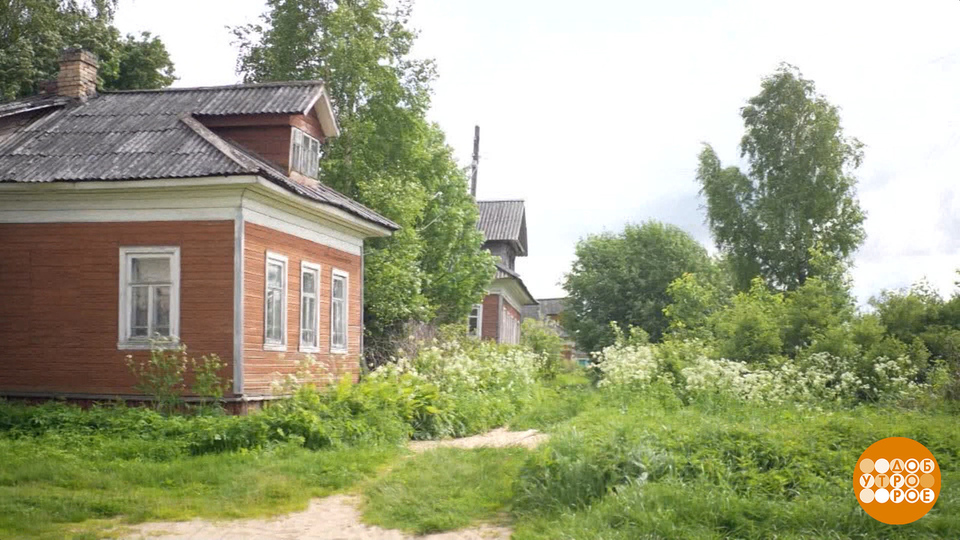 Архангельск — город 25 островов. Доброе утро. Фрагмент выпуска от 23.06.2025