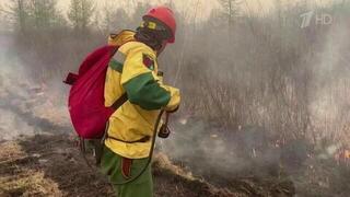 В восточных регионах России остается сложной ситуация с природными пожарами