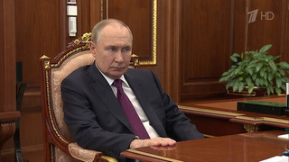 Владимир Путин и Татьяна Москалькова обсудили социальную поддержку ветеранов СВО
